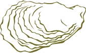 Oyster graphic