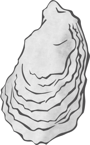 Graphic of oyster