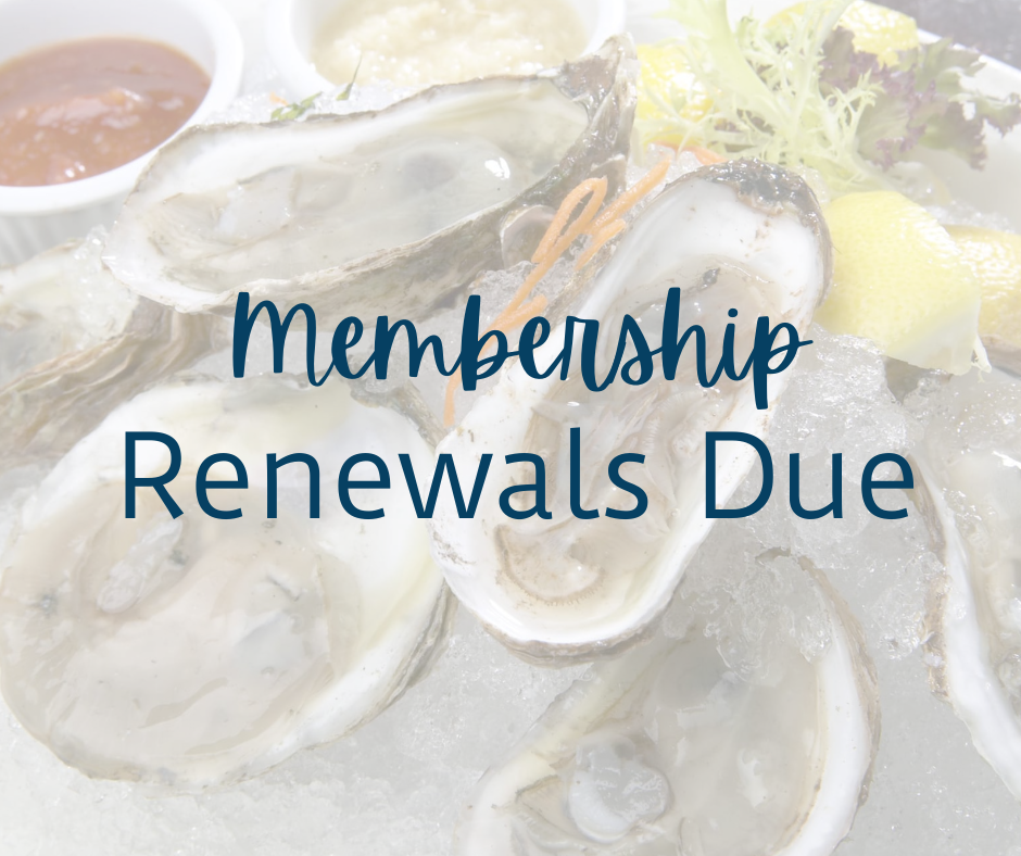 Plate of oysters with text overlay - Membership Renewals Due